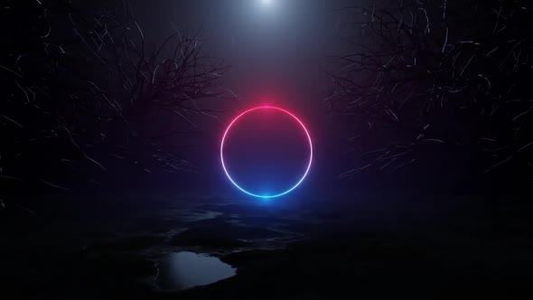 Neon Circle In Forest