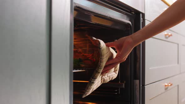 Woman Cooking Food in Oven at Home Kitchen alt