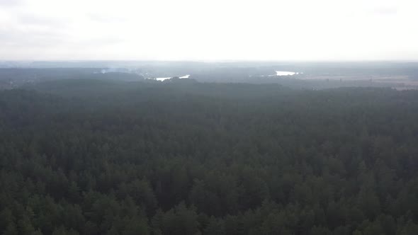 Aerial flight over green foggy forest
