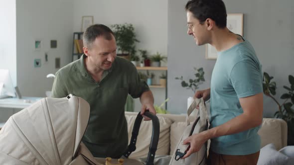 Going To Walk With Baby alt