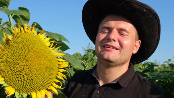 A Farmer Inspects a Sunflower Crop a Sunflower in a Field in Summer alt