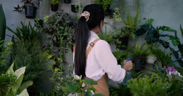 Female gardener standing and watering the plants alt