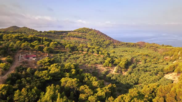 Aerial drone view of nature of Zakynthos, Greece. A lot of greenery, low hills, sunset, Ionian sea alt