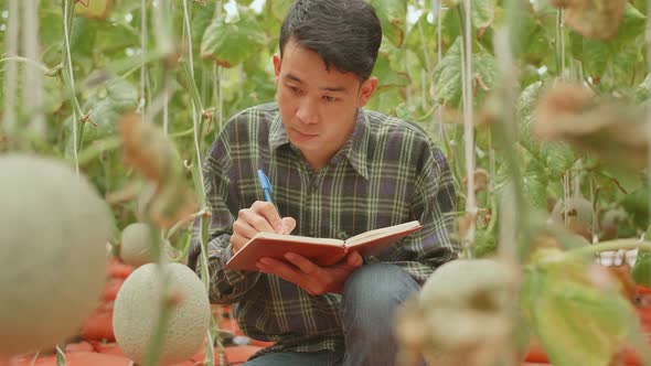 Asian Farmer Is Documenting Data The Yield And Growth Of Melons In Organic Farms With Book alt