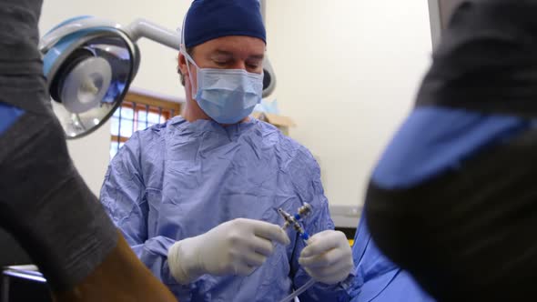 Surgeon operating a horse in operation theater. 4k