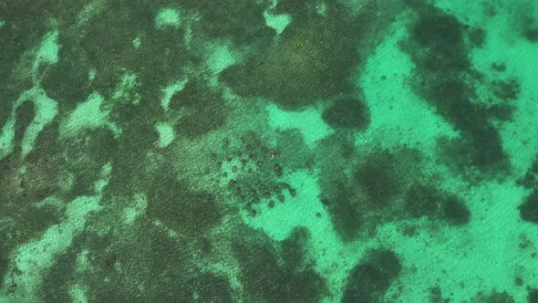 Ocean Coastline and Barrier Reef Aerial View