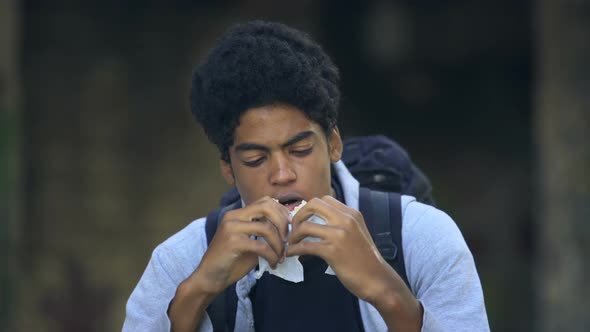 Hungry African Male Chewing Sandwich Sitting Street Alone, Problem Depression alt