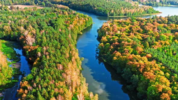 Colorful autumn forest and river, aerial view of Poland alt