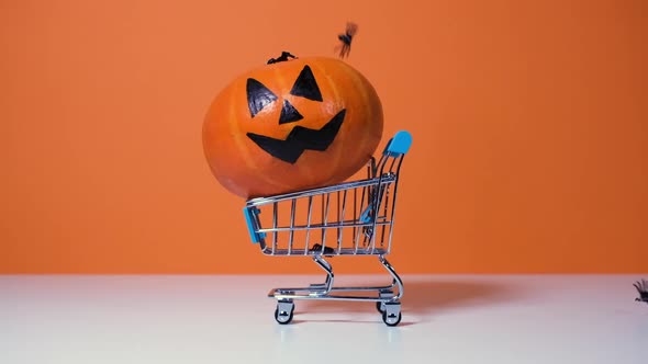 Funny and Scary Halloween Pumpkin in Supermarket Trolley with Falling on It Black Spiders Isolated