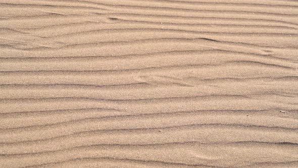 Parallel Sand Pattern Lines on Dune Surface in Desert alt