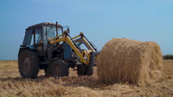 Tractor Machine Loading Hay Bales Truck Trailer During Agriculture Works alt