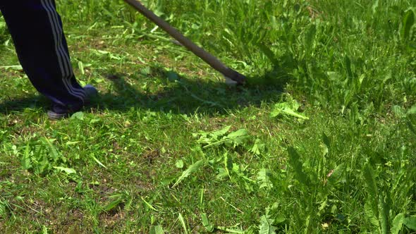 The Mower Mows the Green Grass with a Manual Metal Scythe alt