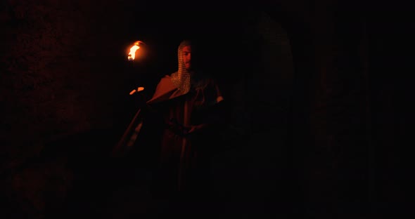 Viking Holds a Flame Torch in the Night alt