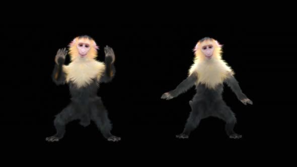Monkey Dance HD alt