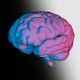 Computer Model of the Human Brain - VideoHive Item for Sale