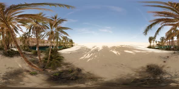 VR360 View of Palm Oasis in Desert alt