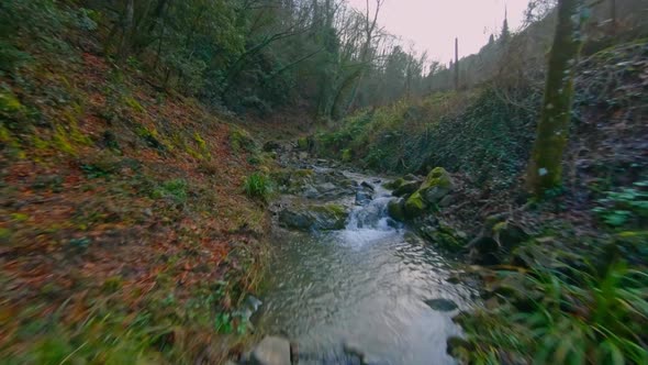 Low flight over a stream in the middle of the forest in autumn. Italy, Tuscany. alt