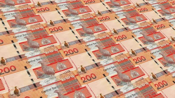 Gambia  Money / 500 Gambian Dalasi 4K alt