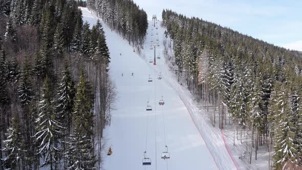 Aerial View of Skiers Go Down Ski Slopes Near Ski Lifts on Ski Resort. Bukovel alt