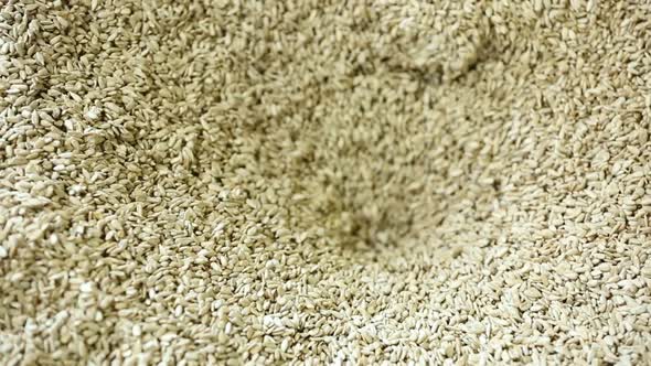 A Full Bowl of Kernels of Sunflower Seeds the Vacuum Sucks Them Inside Into the Middle alt