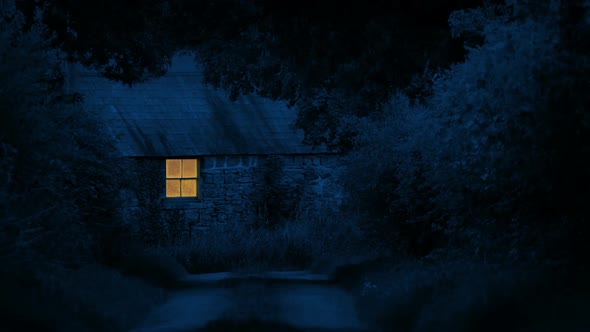 House In The Country At Night alt