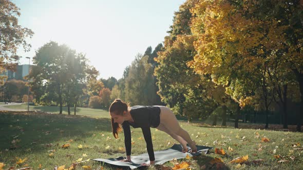 Young Woman Practices Chaturanga and Cobra Poses in Autumn Park on a Yoga Mat
