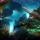 Aqua Coral Reef - VideoHive Item for Sale