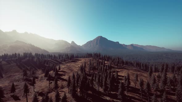 Aerial View Over Mountain Range with Pine Forest in Bavaria alt