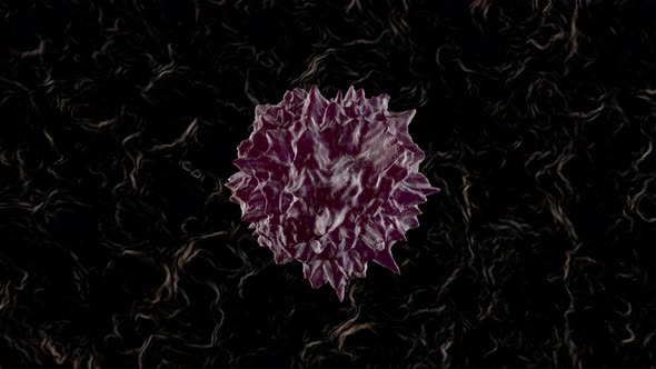 Animation of a mutating cancer cell