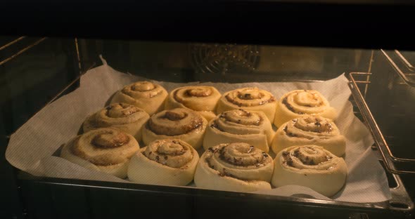 Cinnamon Rolls Buns Baking in the Oven