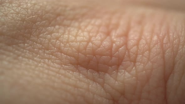 Human Skin Macro Background alt