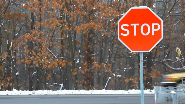 Sign of Stop and Cars