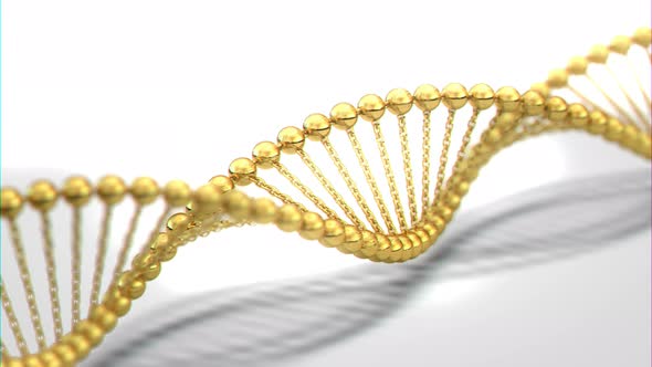Golden DNA Helix Spiral