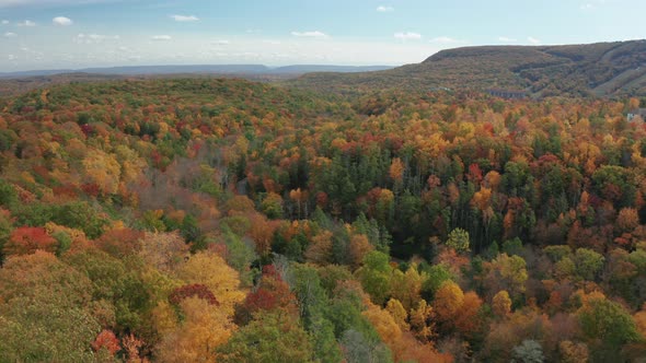Aerial Drone Shot of Beautiful Fall Colors in Pennsylvania's Pocono Mountains alt
