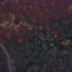 Flying Above Autumn Forest - VideoHive Item for Sale