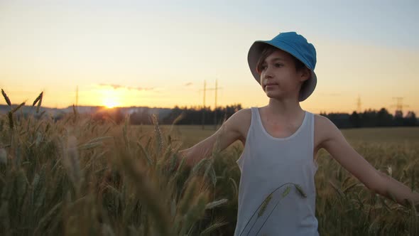 Happy Boy Walks on a Golden Wheat Field at Sunset Against a Beautiful Sky