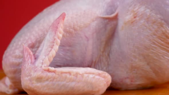 Raw broiler chicken meat is rotated. alt