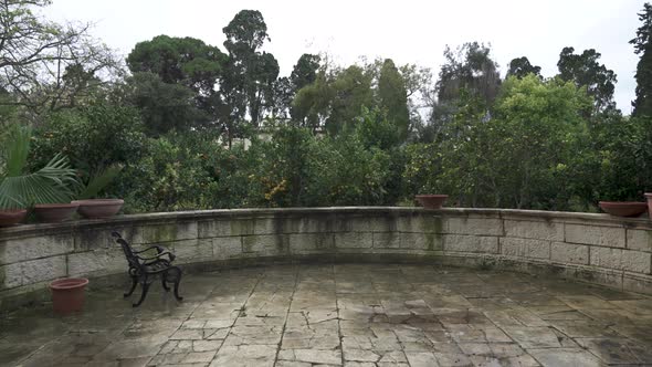 Citrus Tree Growing Oranges in Yard of The San Anton Gardens in Attard alt