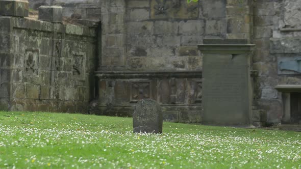 Small gravestone in green grass alt