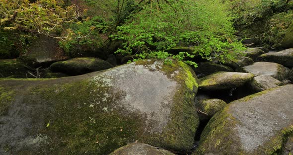 The Toul Goulic gorge, Cotes d Armor department, Brittany in France alt
