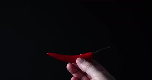 Hot red chilli pepper symbolically burns on black background