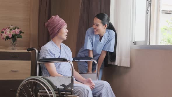 A female doctor with a wheelchair patient at window, recovering from illness. alt