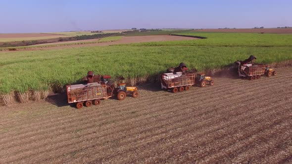 Sugar cane hasvest plantation with three machines view aerial