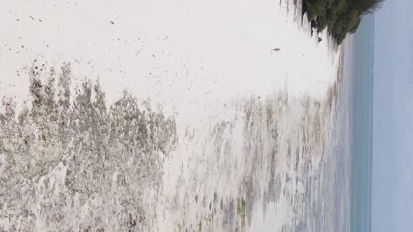 Zanzibar Tanzania  Vertical Video of Low Tide in the Ocean Near the Coast Slow Motion alt