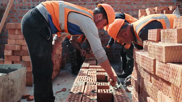 Builders Building a Brick Wall alt