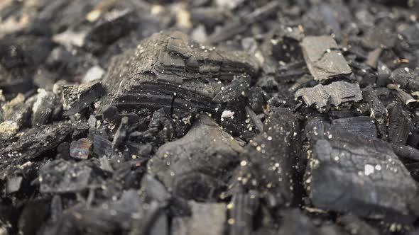 Black Charcoal After Campfire alt