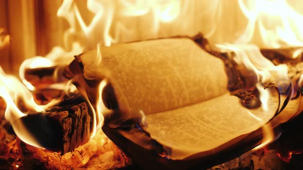 The Book Burns in the Fire of the Fireplace alt