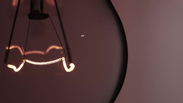 The Tungsten Filament in a Glass Lamp Closeup in Slow Motion on Red Background alt