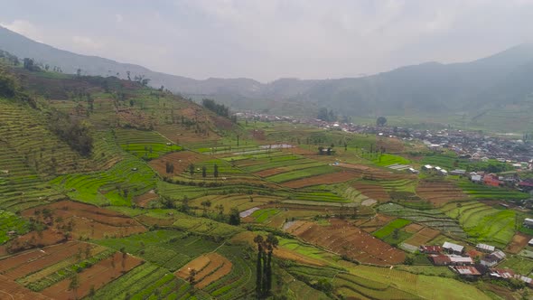 Tropical Landscape with Farmlands in Mountains alt