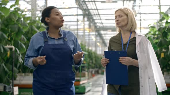 African Woman and Female Agronomist Discussing Work alt
